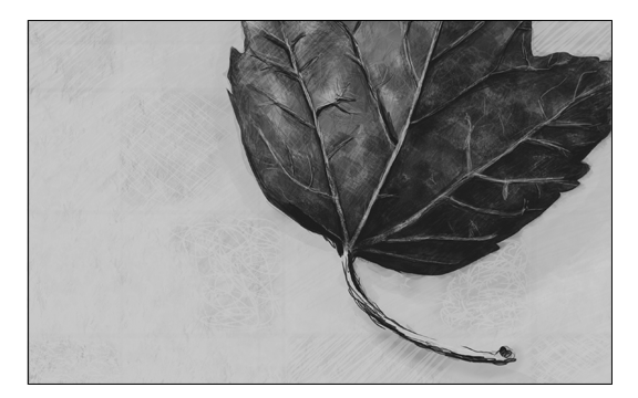 leaf5